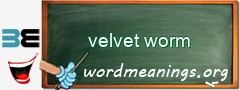 WordMeaning blackboard for velvet worm